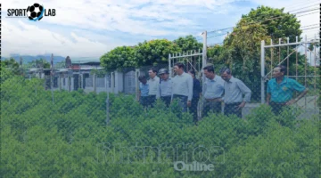 المزارعون الجيدون في الإنتاج والأعمال التجارية يشعلون السوق بحركة مثيرة اليوم